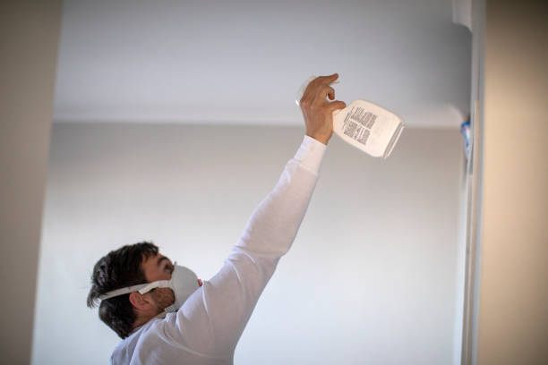 Best Mold Remediation  in Silver Lake, FL