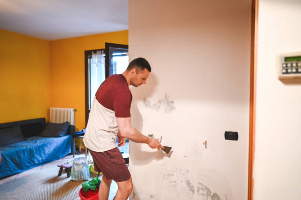 Home Mold Removal in Silver Lake, FL